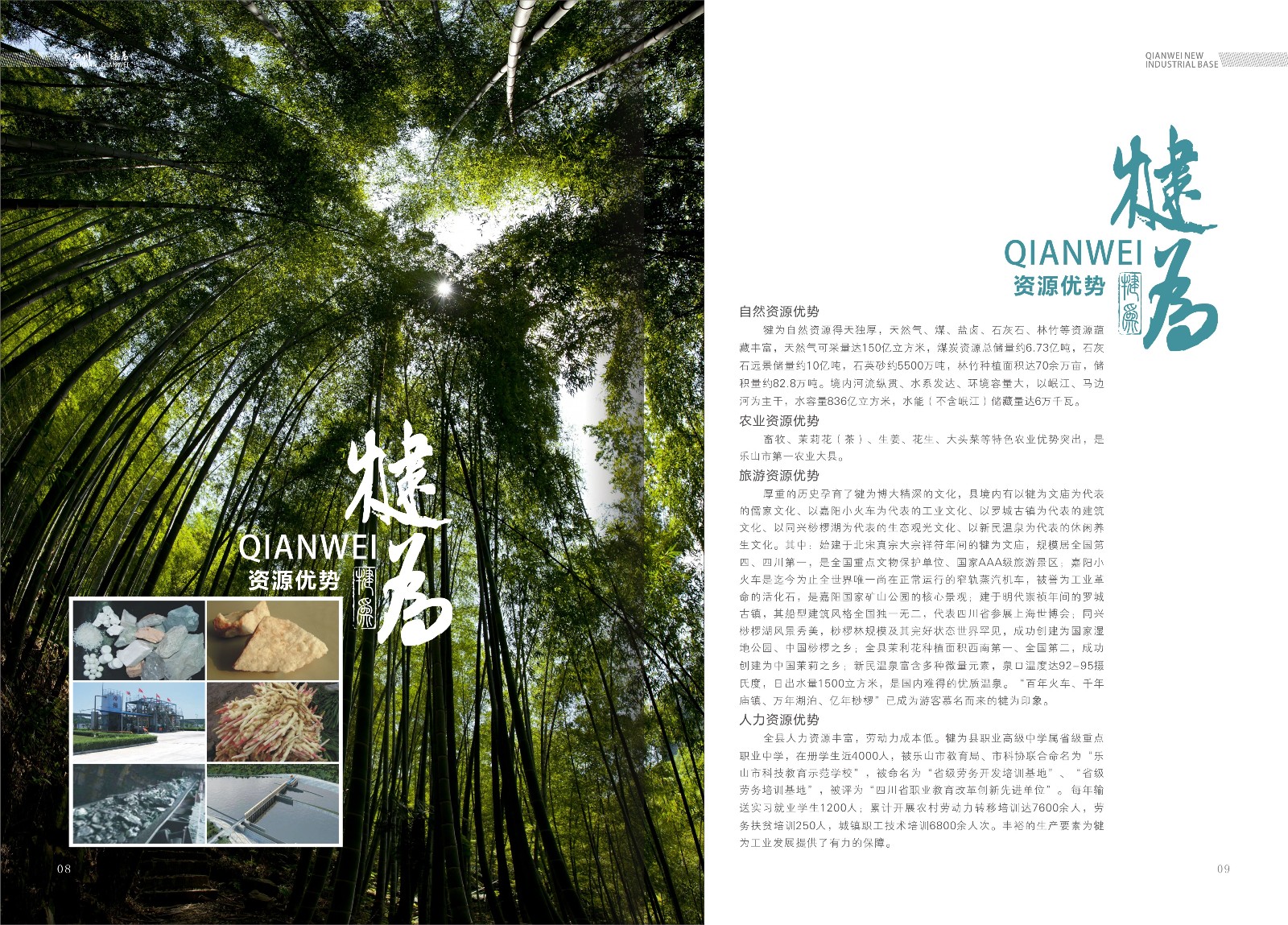 樂山高新區(qū)犍為縣招商手冊(cè)設(shè)計(jì)_樂山市畫冊(cè)設(shè)計(jì)公司_高新區(qū)招商手冊(cè)設(shè)計(jì)公司_工業(yè)基地招商宣傳冊(cè)設(shè)計(jì)