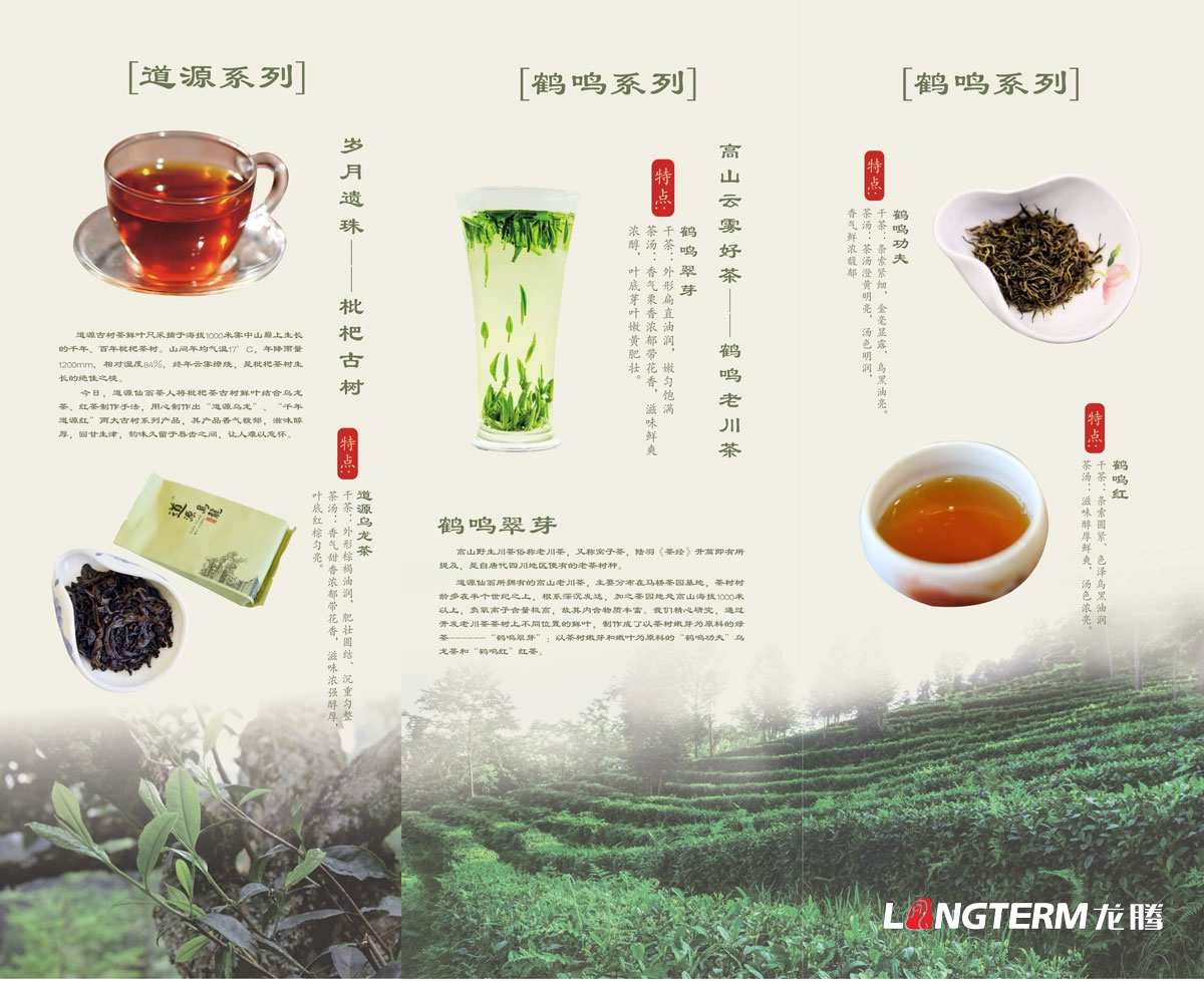 成都道源仙翁茶業(yè)有限公司產(chǎn)品宣傳畫冊設(shè)計(jì)_大邑縣茶葉折頁廣告物料設(shè)計(jì)公司